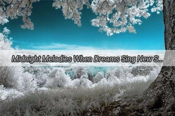 Midnight Melodies When Dreams Sing New Songs of the Night